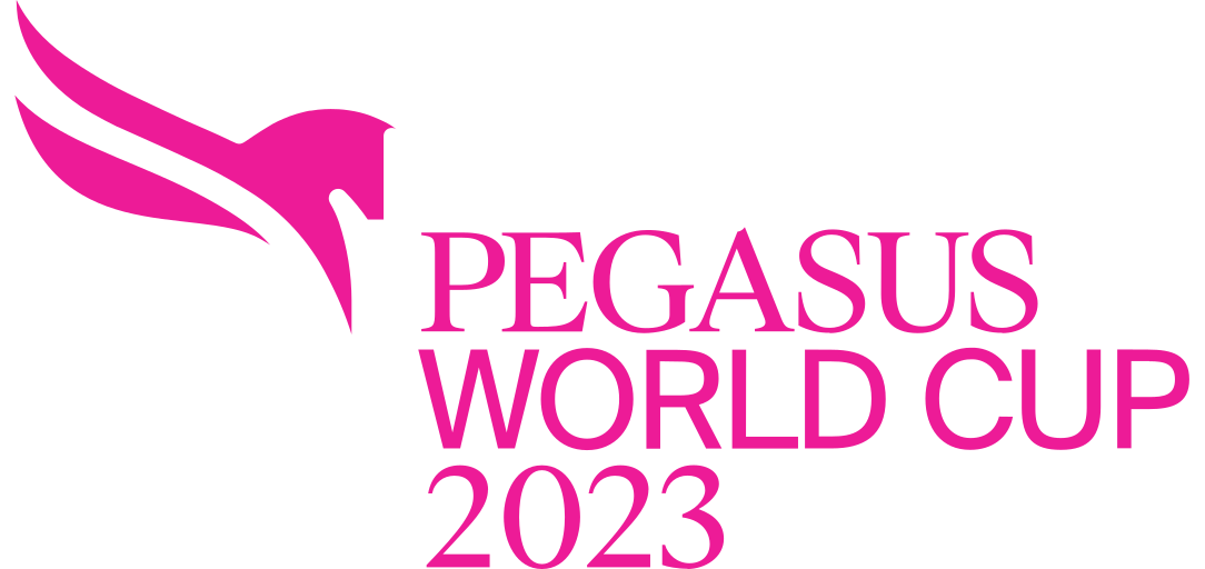 PWC_PRIMARY_2023_PINK