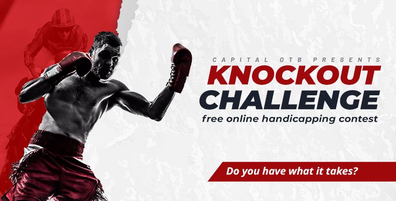 Knockout Challenge